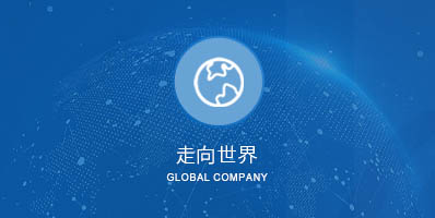 電明科技外貿案例